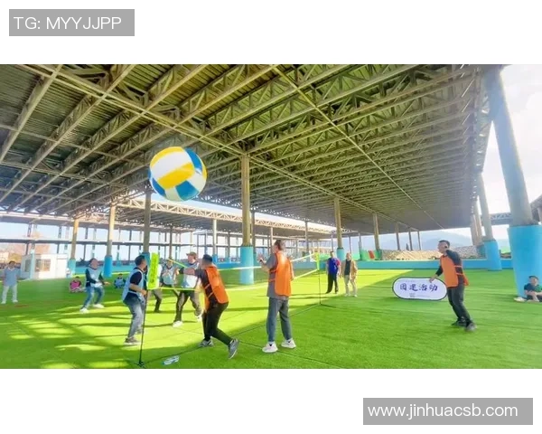 排球巨献：探秘深圳排球队的团队协作